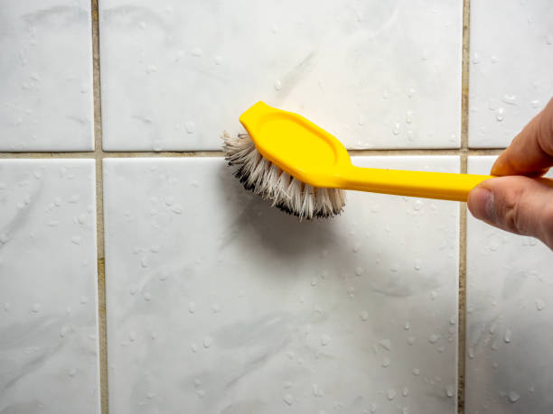 Best Mold Remediation for Specific Building Types in Lindale, TX