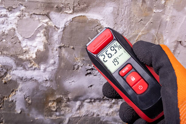 Best Residential Mold Remediation in Lindale, TX