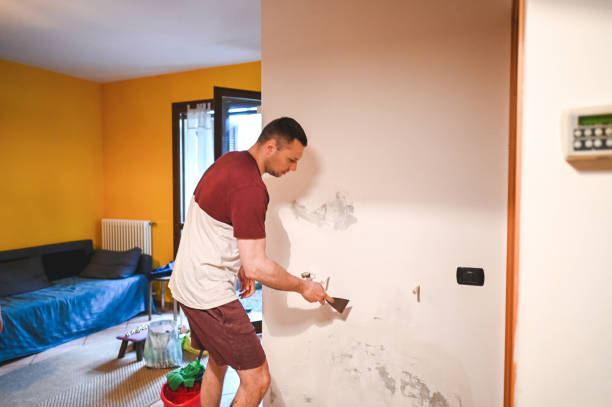 Best Black Mold Remediation in Lindale, TX